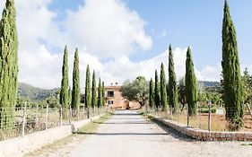 Finca Es Cabas Hotell Santa Maria del Cami  Exterior photo