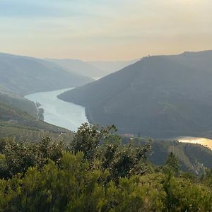 Quinta Da Casa Cimeira, Guest House, Wines & Food Valença do Douro Exterior photo