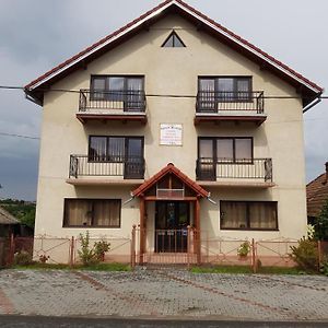 Gold Fayen House Cheile Turului Leilighet Tureni Exterior photo