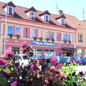 Pension Bernartice Hotell Exterior photo