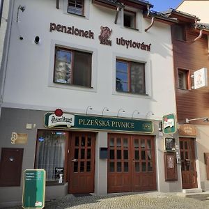 Ubytovani Nad Bisonem Hotell Hlinsko Exterior photo