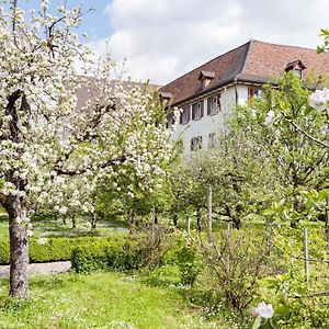 Kloster Dornach / Basel Hotell Exterior photo