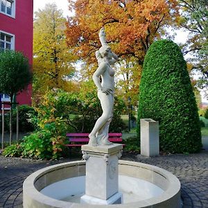 Parkhotel Bad Schandau Mit Spa Exterior photo