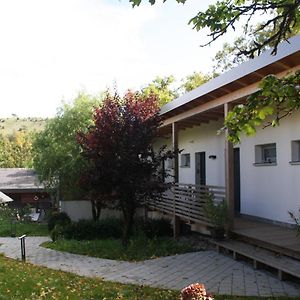 Zimmervermietung Am Habsberg Hotell Velburg Exterior photo