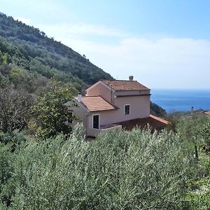 Casa Puccini B&B Maratea Exterior photo