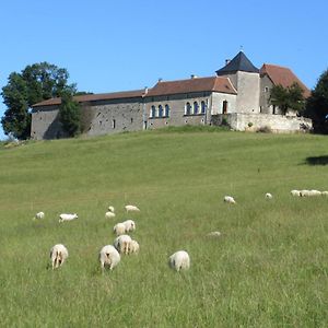 Nature Et Piscine Au Sommet Du Perigord Bed & Breakfast Tourtoirac Exterior photo