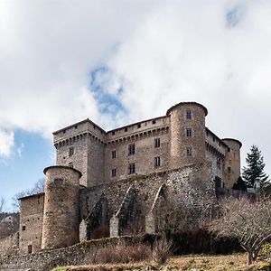 Chateau Des Marcilly Talaru Villa Chalmazel-Jeansagniere Exterior photo