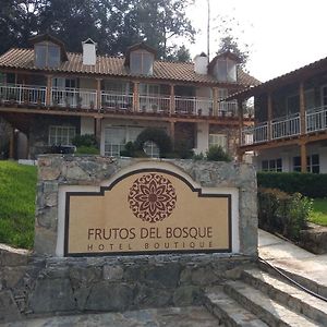 Hotel Frutos Del Bosque Zacatlán Exterior photo