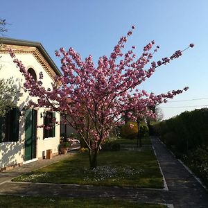 Casa Pianta Hotell Cavallino-Treporti Exterior photo