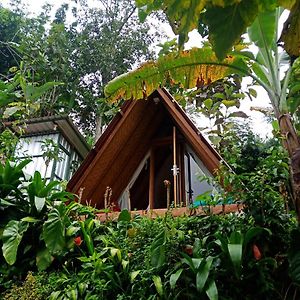 Eco Bedugul Adventurer Camp Bed & Breakfast Exterior photo