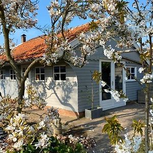 Bed&Breakfast Het Emmapark Medemblik Leilighet Exterior photo