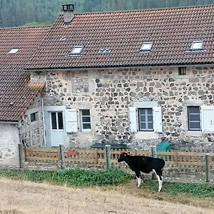 Gite A La Ferme Leilighet Le Malzieu-Ville Exterior photo