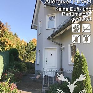 Duft- Und Parfuemfreie Allergiker-Fewo Leilighet Mertendorf Exterior photo