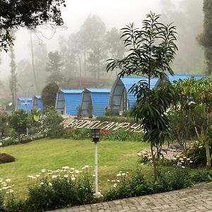 Bromo Camp House Hotell Exterior photo