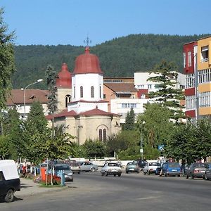 Garsoniera Jad Leilighet Tîrgu Ocna Exterior photo