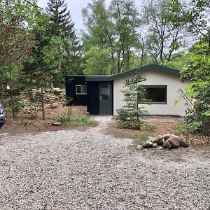 Stijlvolle Bungalow Nabij Prachtige Zwempoel Villa Gasselte Exterior photo