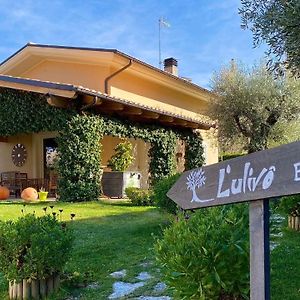 L' Ulivo Bed & Breakfast Bed & Breakfast Teramo Exterior photo