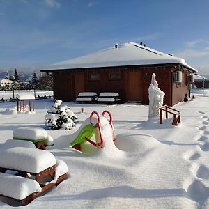 Apartamenty Przy Jeziorze Zywieckim Z Widokiem Na Skrzyczne Exterior photo