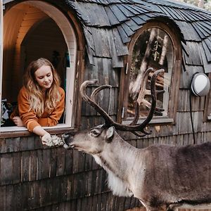 Igluhut - Sleep With Reindeer Villa Esbo Exterior photo