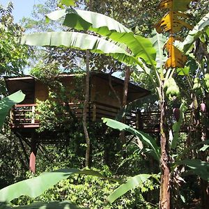 Treehouse Pilon Pavones Villa Pavones  Exterior photo