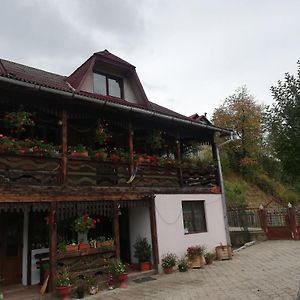 Casa Cozorici Hotell Sadova  Exterior photo