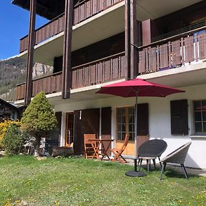 Le Cerf, Magnifique Studio Avec Jardin-Terrasse Et Garage Leilighet Evolène Exterior photo