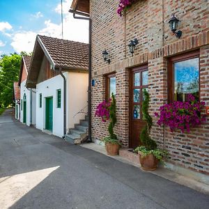 Podrumi Kolar "Suza Baranje" Guest House Kneževi Vinogradi Exterior photo