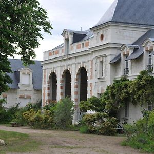 L'Orangerie Du Chateau - Le Nid - Gite 2 Personnes Leilighet Brain-sur-Allonnes Exterior photo