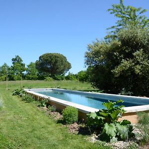 Chant Du Buc, Le Galet Leilighet Marssac-sur-Tarn Exterior photo