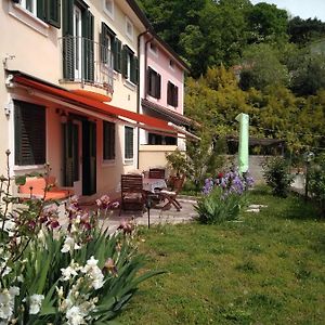 Alle Rose Barcolane Bed & Breakfast Trieste Exterior photo