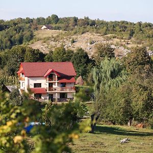 La Ograda Hotell Ponoarele  Exterior photo