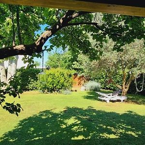 Rustico Roberta "Il Giardino Dei Pesci" Bed & Breakfast Latina Exterior photo