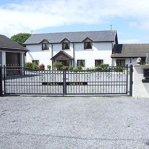 3 Bed Cottage With Hot Tub & Near New Quay Wales Llandysul Exterior photo