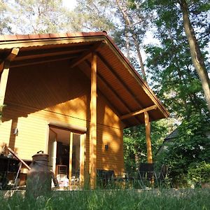 Wald Und Wohlsein Villa Beelitz Exterior photo