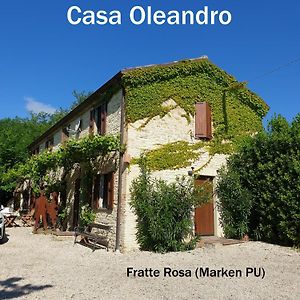 Ferienhaus "Casa Oleandro" In Fratte Rosa, Italien Villa San Lorenzo in Campo Exterior photo