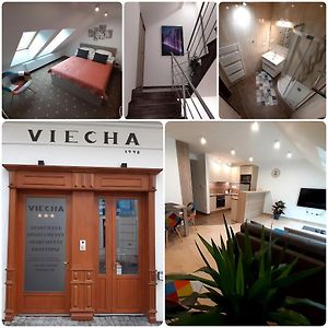 Apartmany Viecha Bardejov Exterior photo