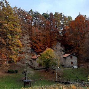 Agriturismo Il Canale Leilighet Corfino Exterior photo