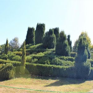 Charmante Maison, Jardin Paysage, Piscine, Proche Sites Prehistoriques Et Sarlat - Fr-1-616-195 Villa Pazayac Exterior photo