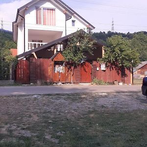 Casa Denisa Vidraru Transfgarasan Hotell Căpăţîneni-Ungureni Exterior photo