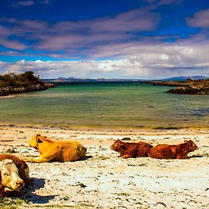 An Outdoor Enthusiasts Piece Of Heaven Leilighet Gairlochy Exterior photo