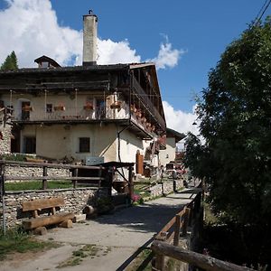 Sci E Montagna Vera Leilighet Pragelato Exterior photo