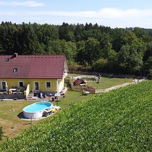 Haus Sonberg Mit Garten, Pool, Fasssauna, Semi Detached House With Garden Leilighet Deutschlandsberg Exterior photo