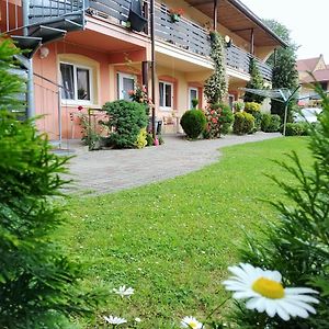 Penzion Areal Zamma Hotell Rožňava Exterior photo