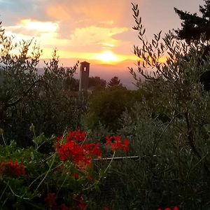 La Casetta Di Campagna Alloggio Nel Chianti Pomino Exterior photo