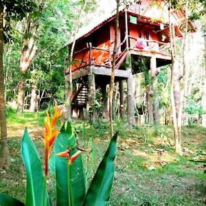 Treehouse Holidays-Garden View Villa Ko Yao Noi Exterior photo