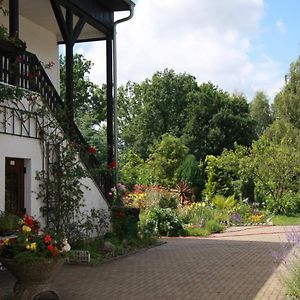 Gasthof & Pension Palmenhof Hotell Leegebruch Exterior photo