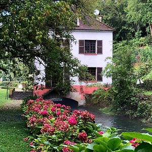 Moulin De Belle Isle Bed & Breakfast Bèze Exterior photo