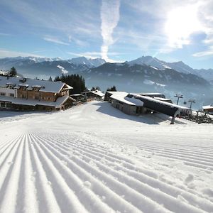 Elegant Chalet With Sauna In Mittersill Salzburg Leilighet Hollersbach im Pinzgau Exterior photo