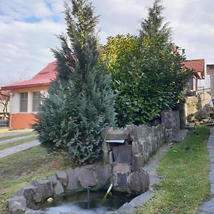 Casa Cu Fantana Villa Borlesti Exterior photo