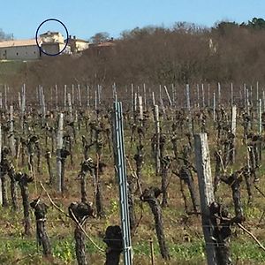 Superbe Gite A La Campagne Dans Le Bordelais Leilighet Saint-Vivien-de-Blaye Exterior photo